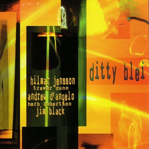 Cover for Hilmar Jensson · Ditty Bley (CD) (2017)