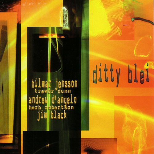 Cover for Hilmar Jensson · Ditty Bley (CD) (2017)