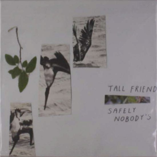 Cover for Tall Friend · Safely Nobody's (LP) (2018)