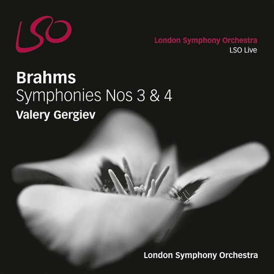 Cover for London Symphony Orchestra · Brahms Symphonies Nos 3 4 (CD) (2017)