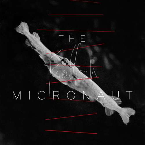 Cover for Micronaut · Friedfisch (CD) (2012)