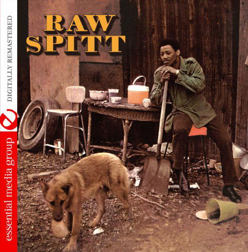 Cover for Raw Spitt (CD) (2014)