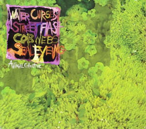 Cover for Animal Collective · Water Curses (CD) [EP edition] (2008)