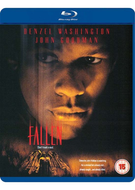Cover for Fallen Bds · Fallen (Blu-ray) (2017)