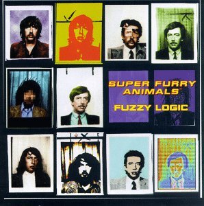 Cover for Super Furry Animals · Fuzzy Logic (CD) (2001)