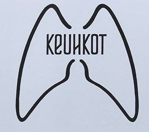 Laskeumtumisalusastia - Keuhkot - Musique - EKTRO - 6417138609724 - 9 février 2012