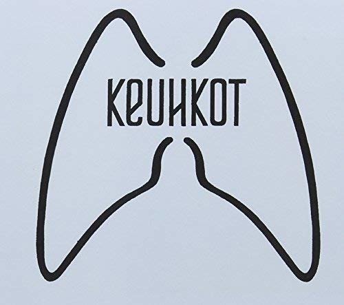 Laskeumtumisalusastia - Keuhkot - Music - EKTRO - 6417138609724 - February 9, 2012