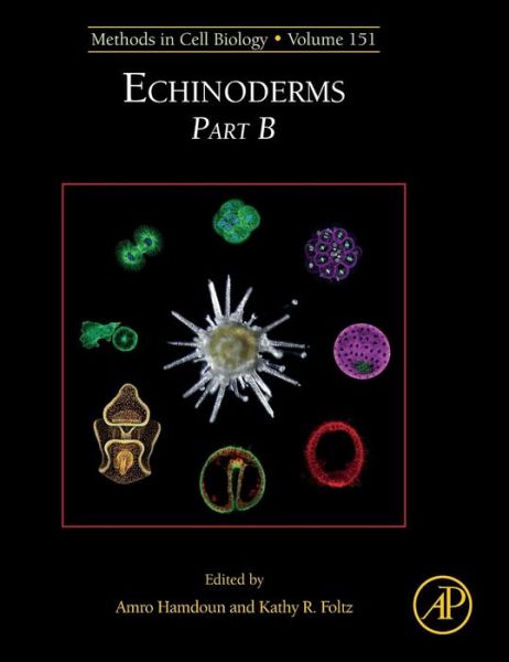 Echinoderms Part B - Amro Hamdoun - Livros - Elsevier Science Publishing Co Inc - 9780128170724 - 2 de abril de 2019