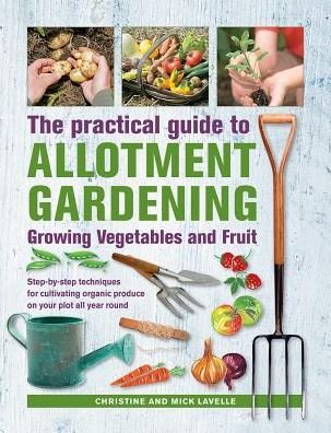 Cover for Christine Lavelle · Practical Guide to Allotment Gardening: Growing Vegetables and Fruit: Step-by-step techniques for cultivating organic produce on your plot all year round (Hardcover Book) (2019)