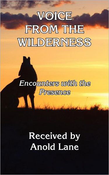 Voice from the Wilderness - Anold Lane - Books - RealityIsBooks.com, Inc. - 9780981713724 - March 25, 2009