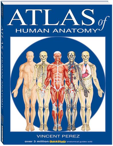 Cover for Vincent Perez · Atlas Of Human Anatomy (Kartor) (2006)