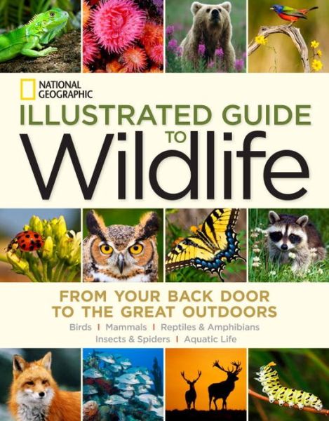 National Geographic Illustrated Guide to Wildlife: From Your Back Door to the Great Outdoors - National Geographic - Książki - National Geographic Society - 9781426213724 - 2 września 2014