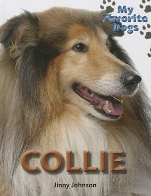 Collie (My Favorite Dogs (Continuation)) - Katie Dicker - Bøger - Smart Apple Media - 9781625881724 - 15. juli 2014