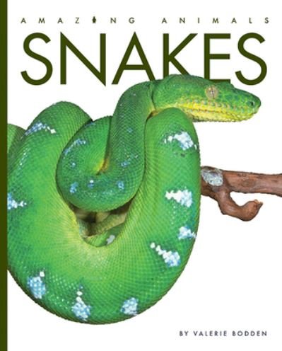 Cover for Valerie Bodden · Snakes (Paperback Bog) (2020)