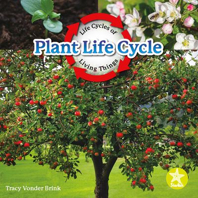 Cover for Tracy Vonder Brink · Plant Life Cycle (Book) (2022)