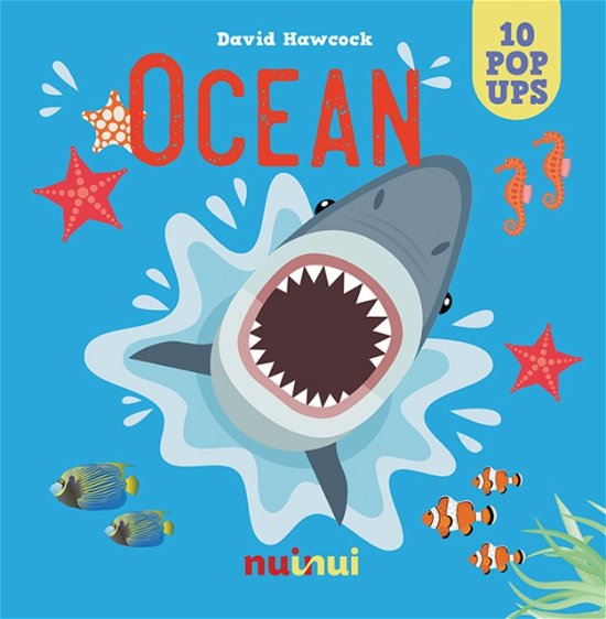 Cover for David Hawcock · Ocean - Amazing pop-ups (Hardcover Book) (2024)