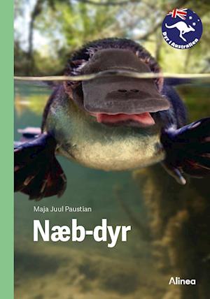 Cover for Maja Juul Paustian · Dyr i Australien: Næbdyr, Grøn Fagklub (Bound Book) [1st edition] (2024)