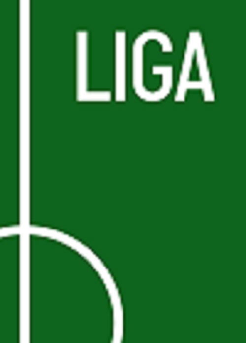 Cover for Lars Rønbøg &amp; Mikkel Davidsen · Liga (Hardcover Book) (2019)