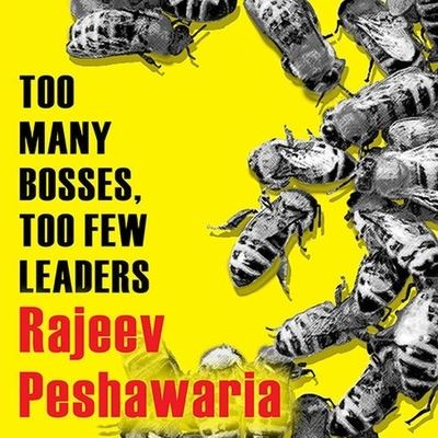 Cover for Rajeev Peshawaria · Too Many Bosses, Too Few Leaders (CD) (2011)