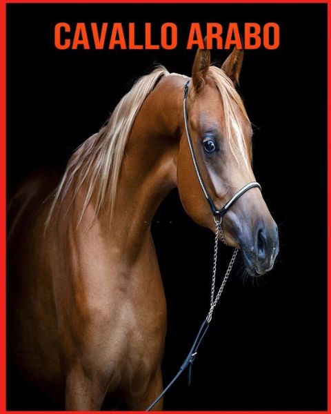 Cavallo Arabo: Foto stupende e fatti divertenti Libro sui Cavallo Arabo per bambini - Alicia Moore - Książki - Independently Published - 9798711032724 - 18 lutego 2021