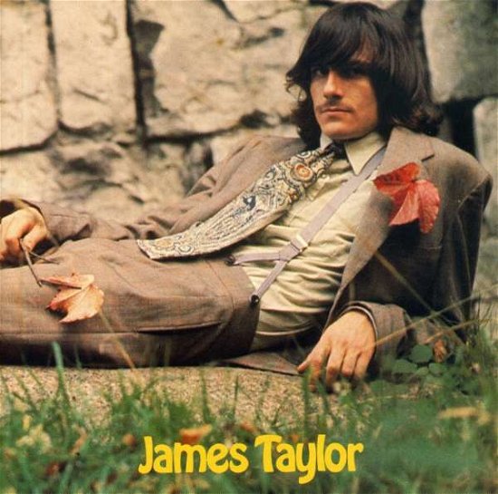 James Taylor - James Taylor - Musiikki - APPLE - 0077779757725 - tiistai 19. marraskuuta 1991