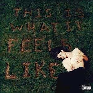 This Is What It Feels Like - Gracie Abrams - Música - INTERSCOPE - 0602445236725 - 15 de abril de 2022