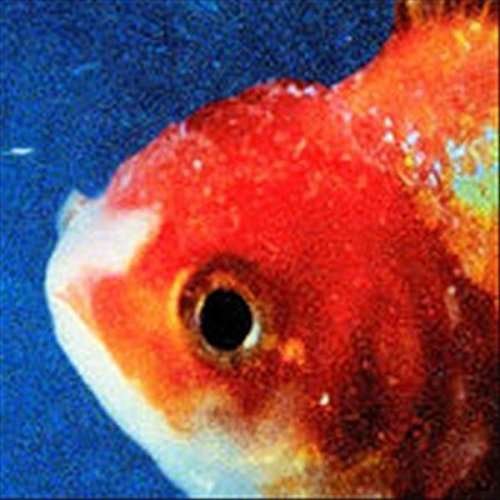Cover for Vince Staples · Big Fish Theory (CD) (2017)