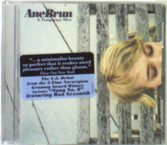 Cover for Ane Brun · Temporary Dive (CD) (2006)