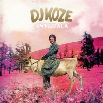 Amygdala - Dj Koze - Musik - PAMPAS - 0673799290725 - 21 mars 2013