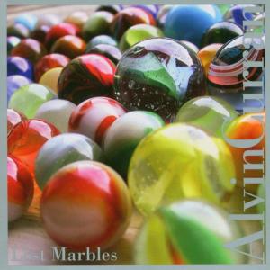 Cover for Alvin Curran · Lost Marbles (CD) (2004)