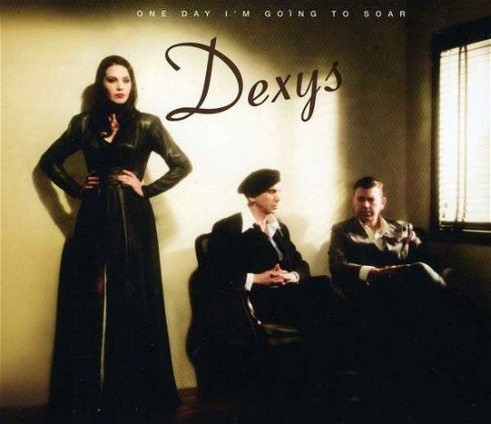 Cover for Dexys · One Day I'm Going to Soar (CD) (2013)
