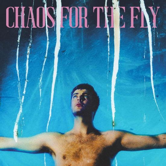 Chaos For The Fly - Grian Chatten - Muziek - PARTISAN - 0720841303725 - 30 juni 2023