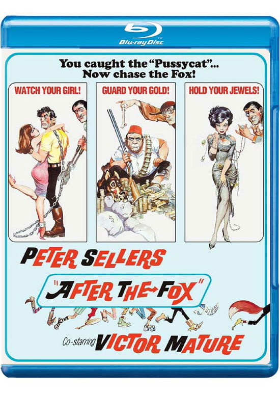 Cover for After the Fox (Blu-ray) (2016)