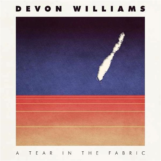 Cover for Devon Williams · A Tear In The Fabric (CD) (2020)