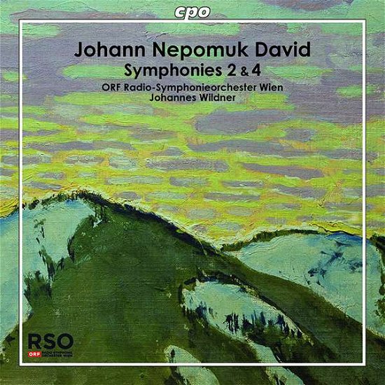 David / Symphonies 2 & 4 - Orf Radio-sym Wien / Wildner - Muziek - CPO - 0761203757725 - 27 april 2018