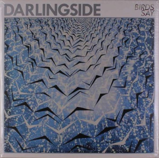 Cover for Darlingside · Birds Say (RSD 2017) (LP) [Limited, Coloured edition] (2017)