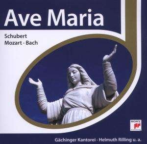 Cover for Ave Maria · Various Artists (CD) (2020)