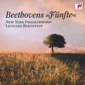 Beethovens "Fünfte",CD - Beethoven - Bøger - SONY CLASSICAL - 0887254176725 - 8. juni 2012