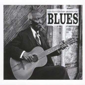 Les Plus Grands Artistes Du Blues - Les Plus Grands Artistes Du Blues - Muziek - BANG - 3596971002725 - 3 april 2007