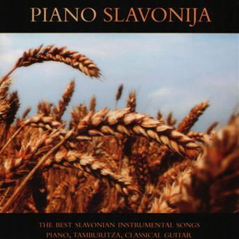 Cover for Razni Izvodaci · Razni Izvodaci - Various Artists - Piano Slavonija - Instrumental Songs (CD)