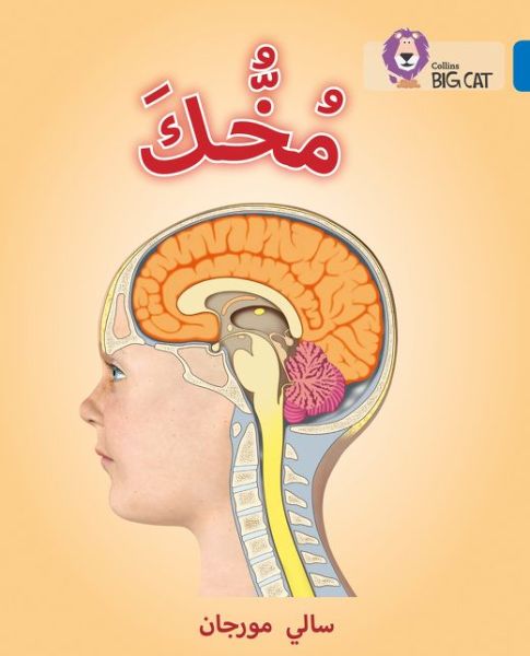 Cover for Sally Morgan · Your Brain: Level 16 - Collins Big Cat Arabic Reading Programme (Paperback Book) (2016)