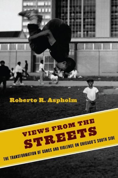 Cover for Aspholm, Roberto (Assistant Professor) · Views from the Streets: The Transformation of Gangs and Violence on Chicago's South Side - Studies in Transgression (Hardcover Book) (2020)