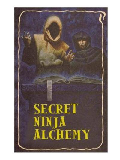 Cover for Ashida Kim · Secret Ninja Alchemy (Paperback Book) (2018)