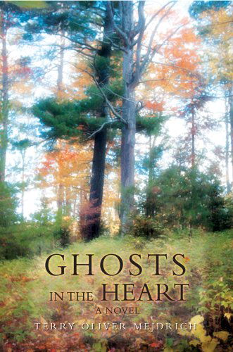 Cover for Terry Mejdrich · Ghosts in the Heart (Paperback Book) (2007)