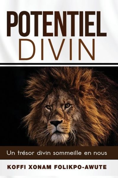 Cover for Koffi Xonam Folikpo Awute · Potentiel Divin (Pocketbok) (2019)