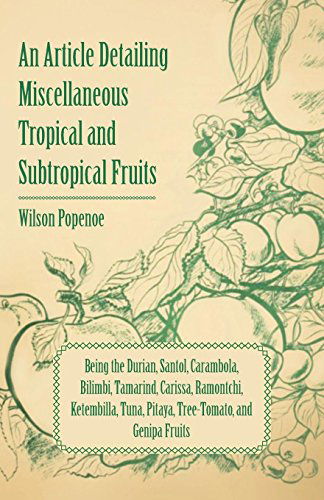 Cover for Wilson Popenoe · An  Article Detailing Miscellaneous Tropical and Subtropical Fruits Being the Durian, Santol, Carambola, Bilimbi, Tamarind, Carissa, Ramontchi, Ketemb (Paperback Book) (2011)