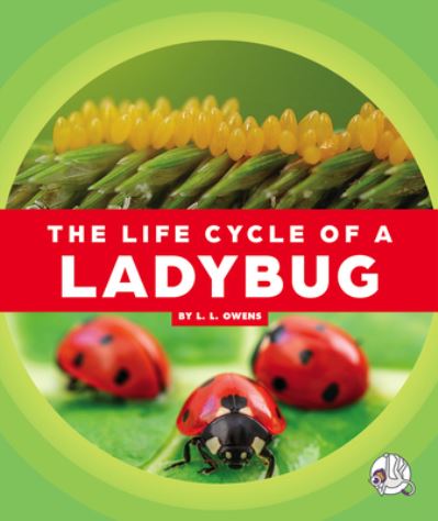 Cover for L. L. Owens · Life Cycle of a Ladybug (Book) (2023)