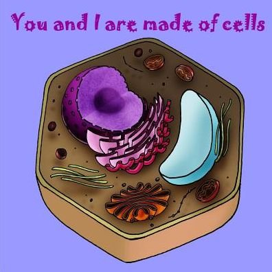 Cover for Ela Joseph · You and I are made of Cells (Taschenbuch) (2016)