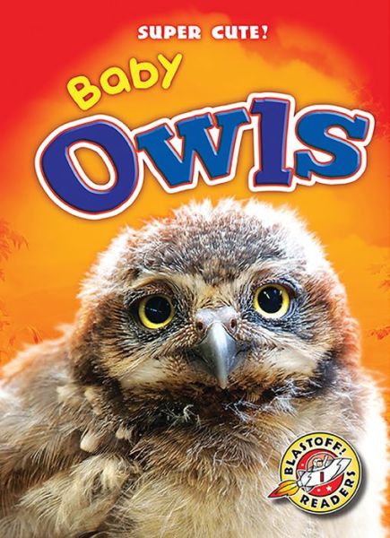 Cover for Christina Leaf · Baby Owls (Super Cute!) (Hardcover Book) (2015)