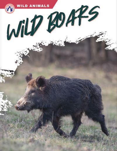 Cover for Libby Wilson · Wild Boars (Book) (2023)